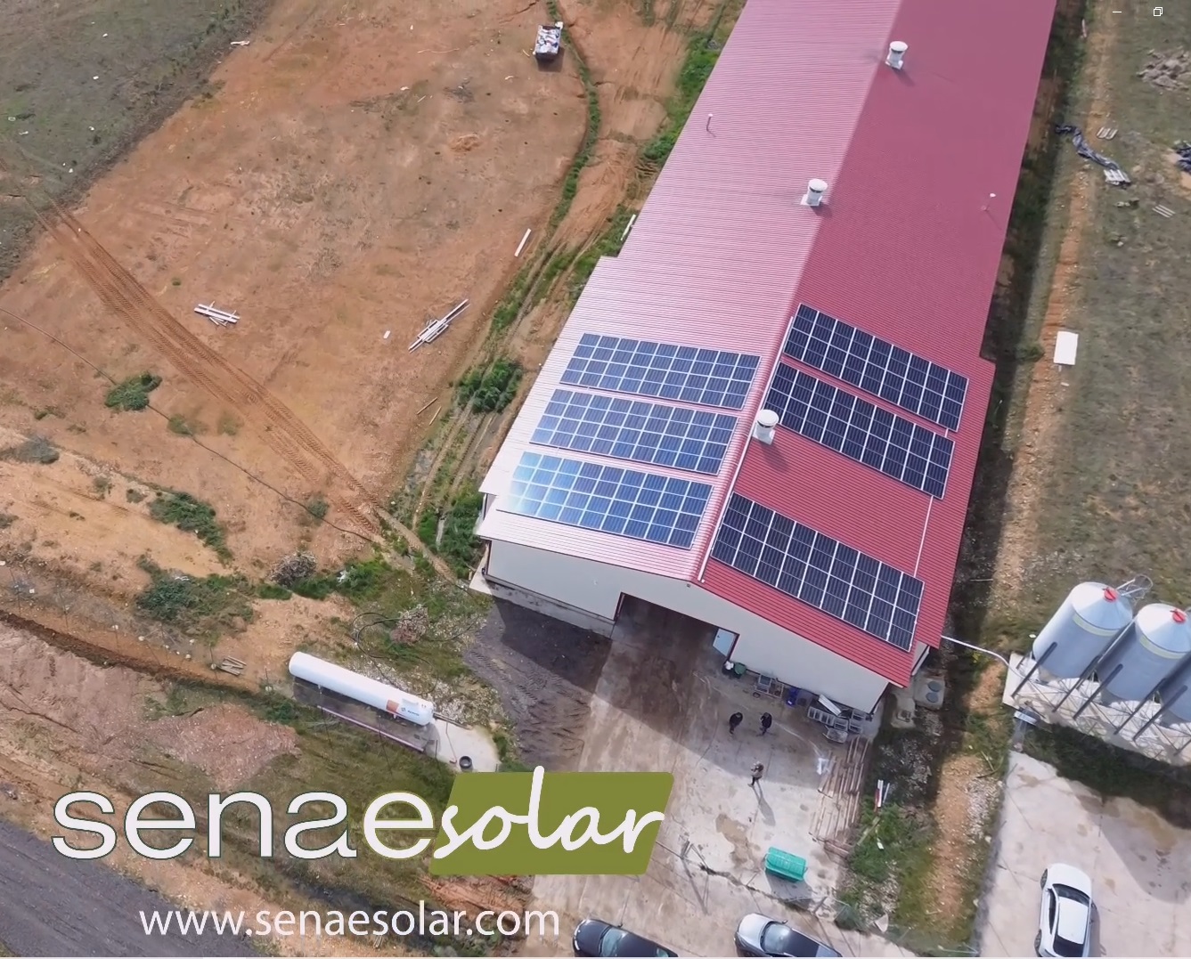 Placas solares en granja avícola